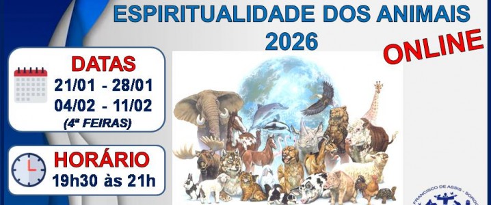Curso Intensivo 2026