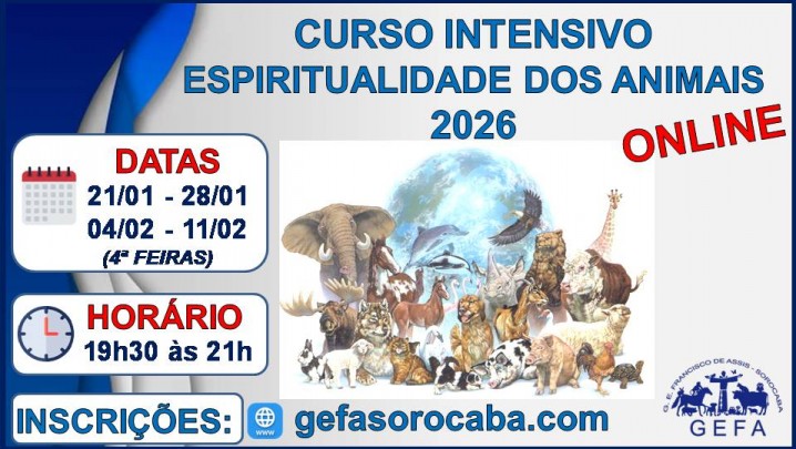 Curso Intensivo 2026